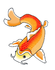 ... swimming koi fish clip art