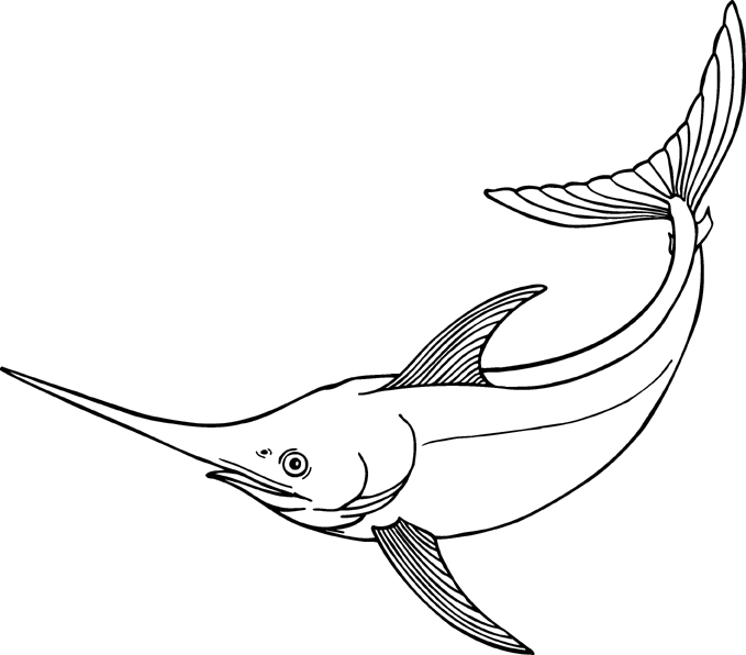 Cartoon swordfish. Vector cli