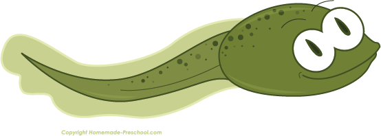 tadpole clipart black and whi