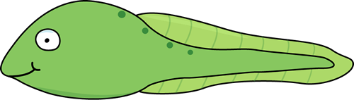 tadpole clipart black and whi
