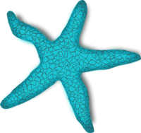 Tags Creature Fish Life Ocean - Sea Star Clipart