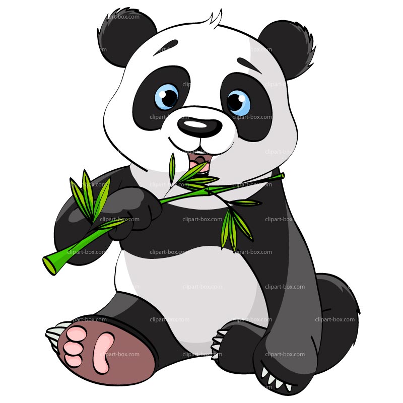 Teddy Bear Clip Art u0026midd - Panda Bear Clip Art