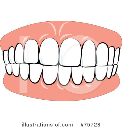 Teeth Clipart 75728 .