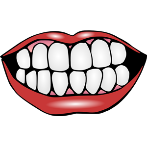 Teeth Clipart Illustration .