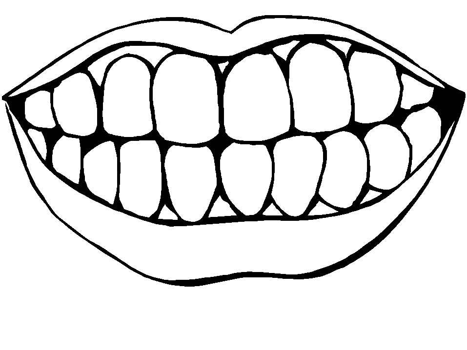 smile teeth clipart u0026midd