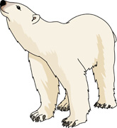 Terrancezepke Com The Officia - Polar Bear Clip Art