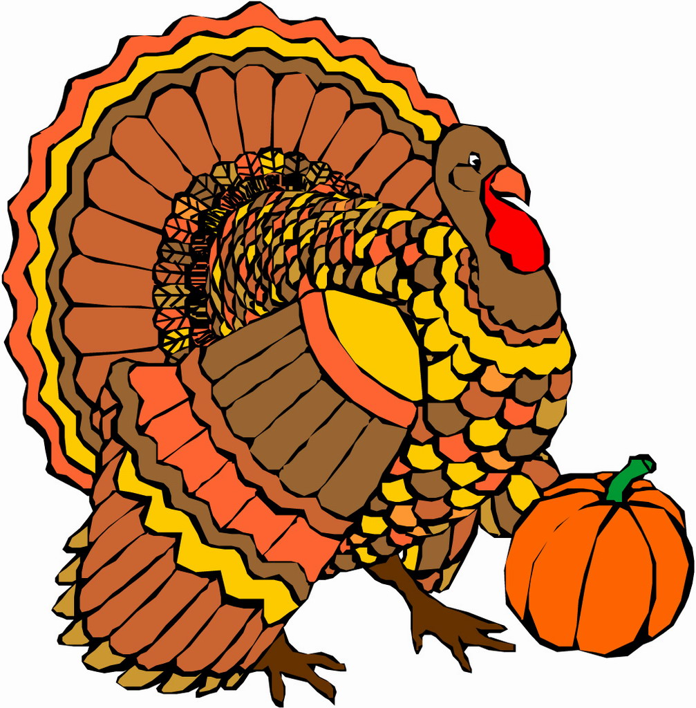 Thanksgiving Turkey Photos .
