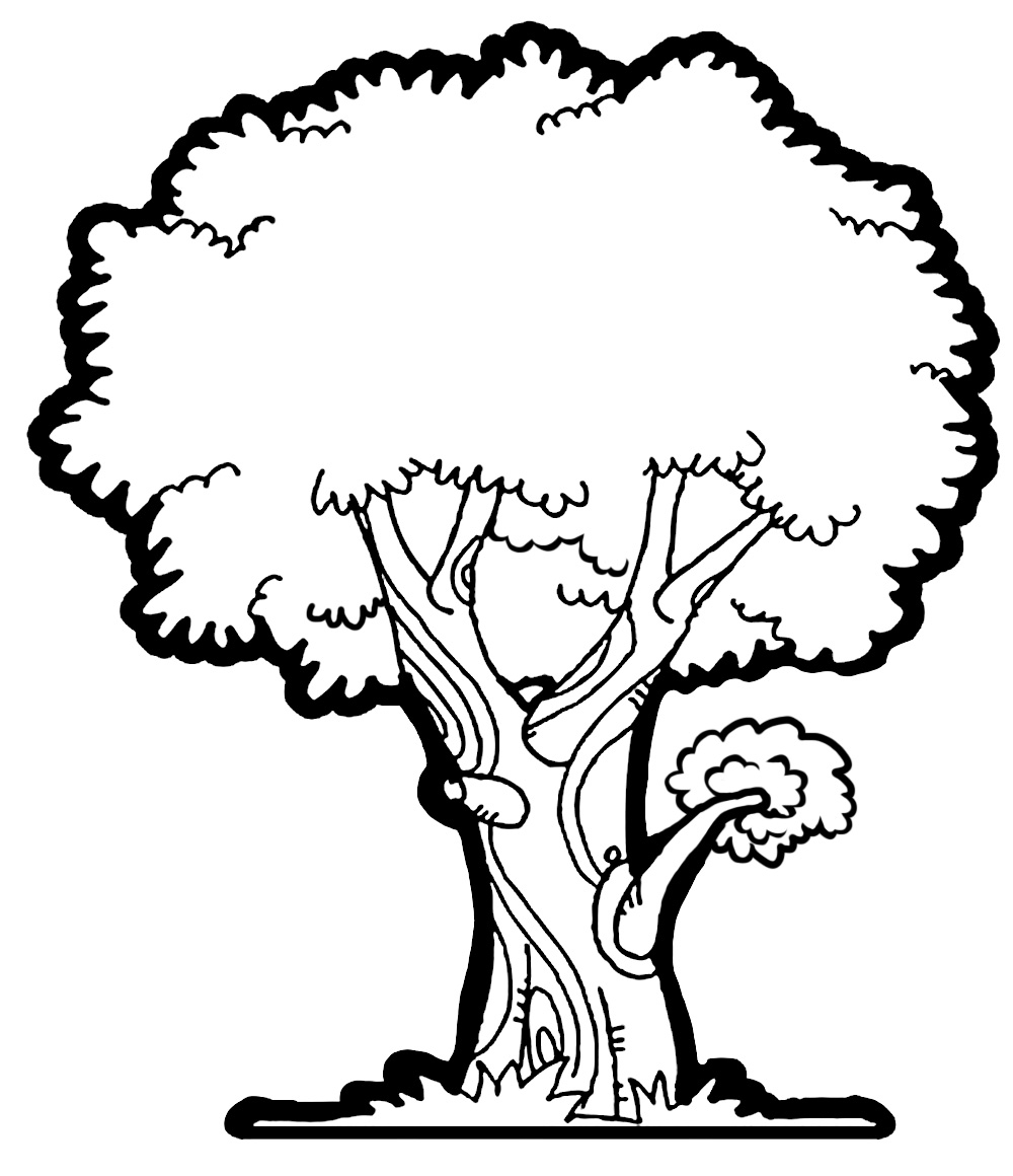Black And White Tree Outline 