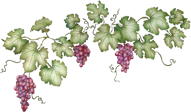 ... free vector Grape Vine cl