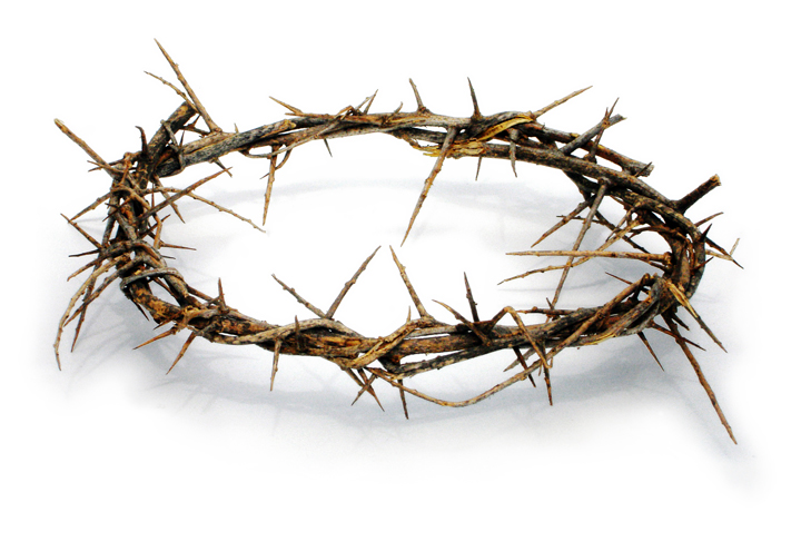 The Crown Of Thorns Pope Pius - Crown Of Thorns Clipart