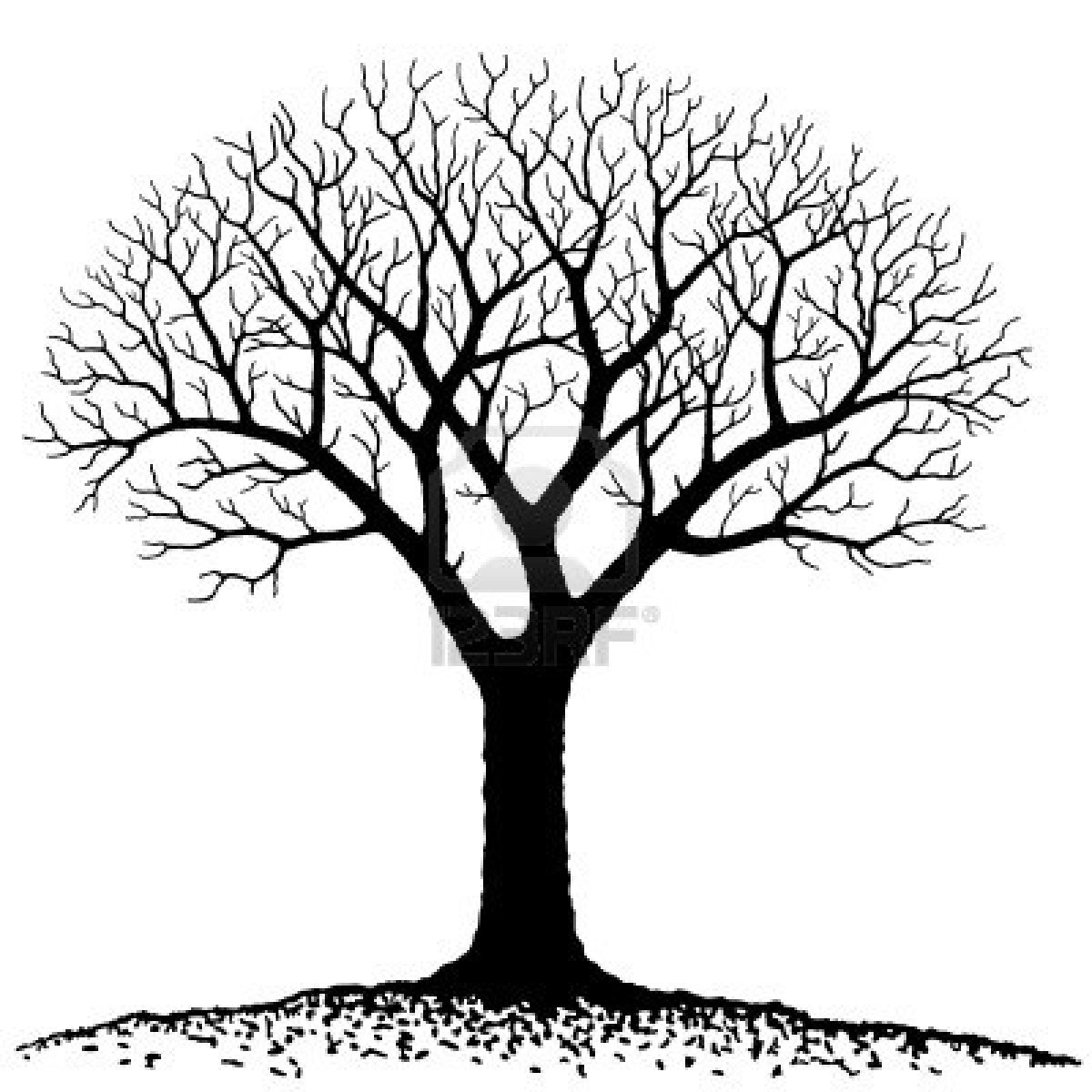 Lds tree of life clipart - Cl