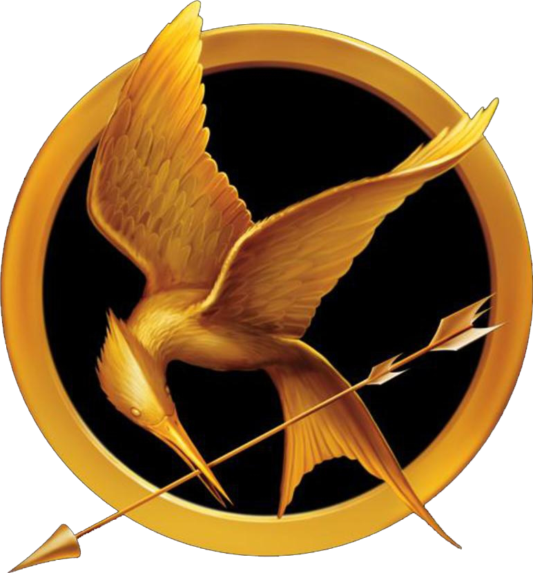 Hunger Games decal vinyl stic
