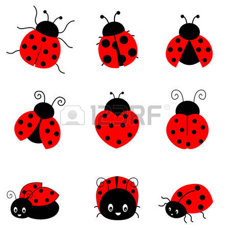 the ladybug: Cute colorful ladybugs clipart collection isolated on white background