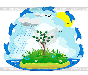 The water cycle - vector clip art. u203a