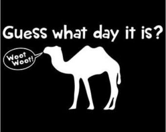 There Is 42 It S Hump Day Free Cliparts All Used For Free
