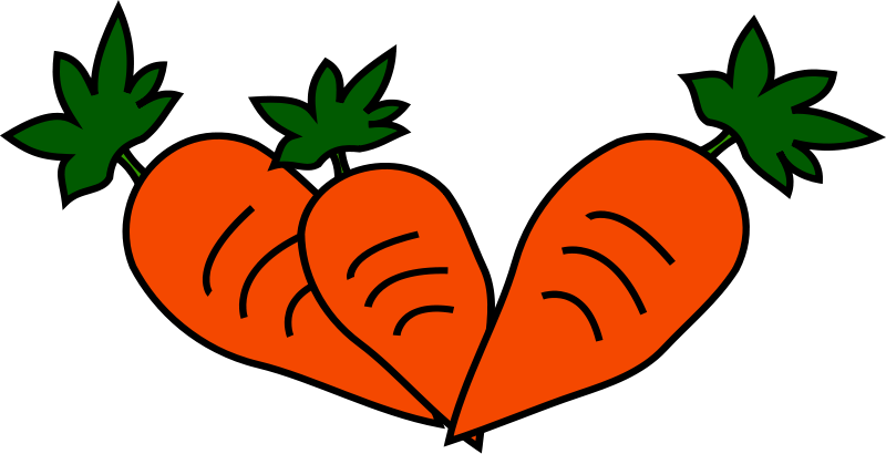 This clip art is in the publi - Carrot Clipart