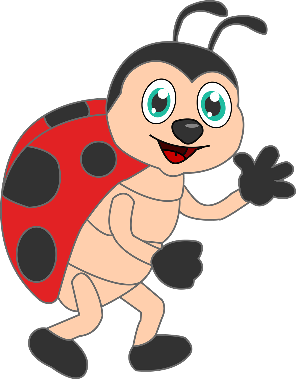 Ladybug without Spots