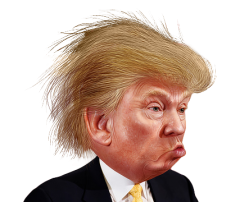 This funny Donald Trump clip art is licensed under a Creative Commons Attribution-ShareAlike 2.0 Generic License which means you can use this clip art for ...