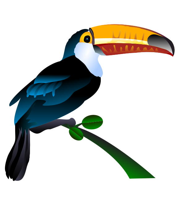 This toucan clip art is great for you to use on your aviary or zoo  projects, posters, reference books, websites, school projects, etc.
