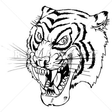 tiger clipart black and white - White Tiger Clipart