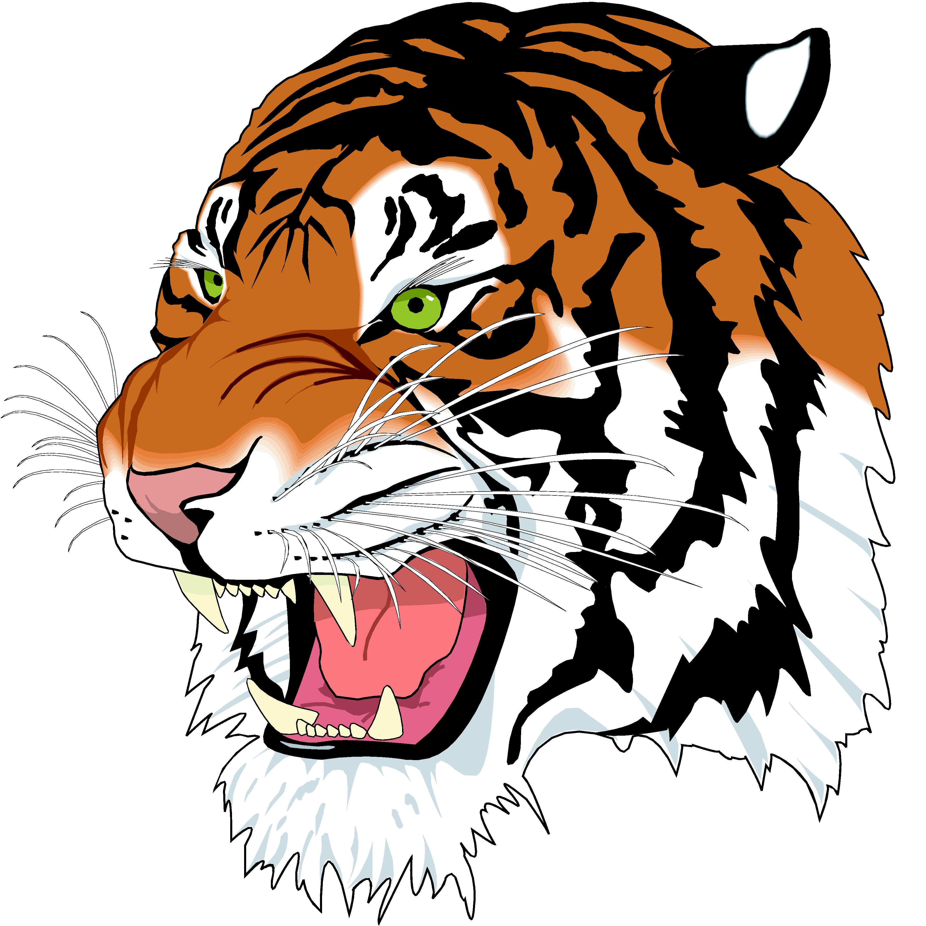 Tiger Face Clip Art Royalty .