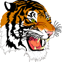 Tiger Clip Art - Tiger Clipart