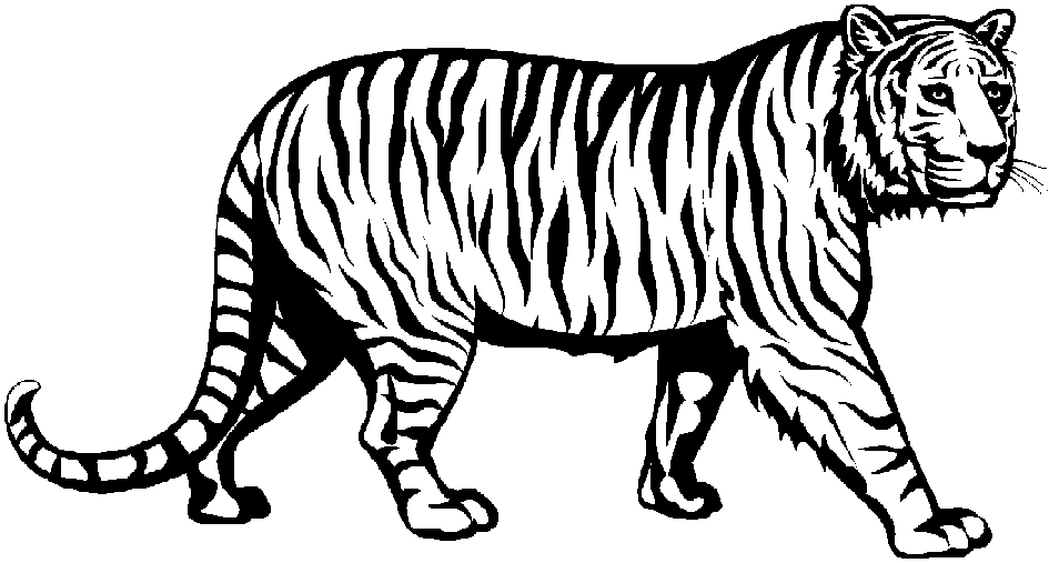 Tiger Clipart Black And White Clipart Best
