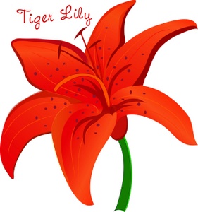 Tiger Lily Clipart Image Pretty Orange Tiger Lily Flower With The