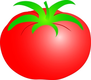 Clipart vector tomato