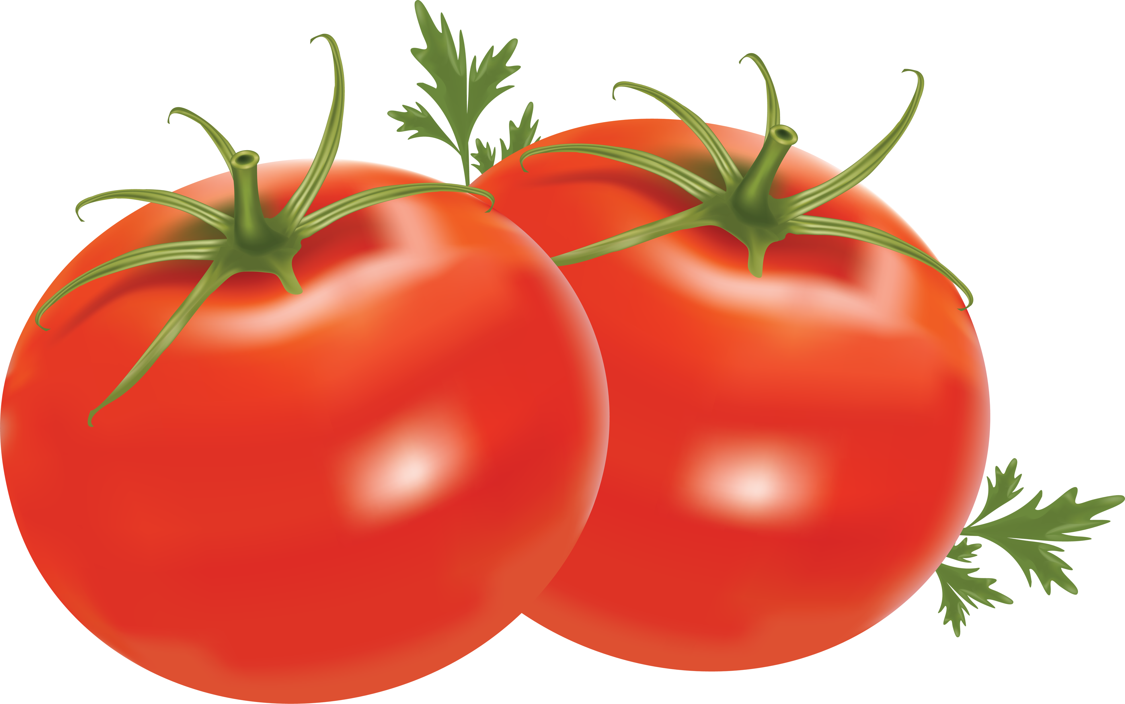 tomato clipart - Clipart Tomato