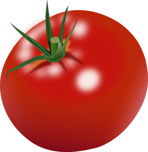 Tomato Clipart-Clipartlook.co