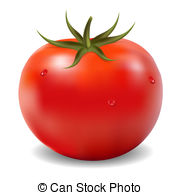 Tomato Clipart PNG Image 01 2
