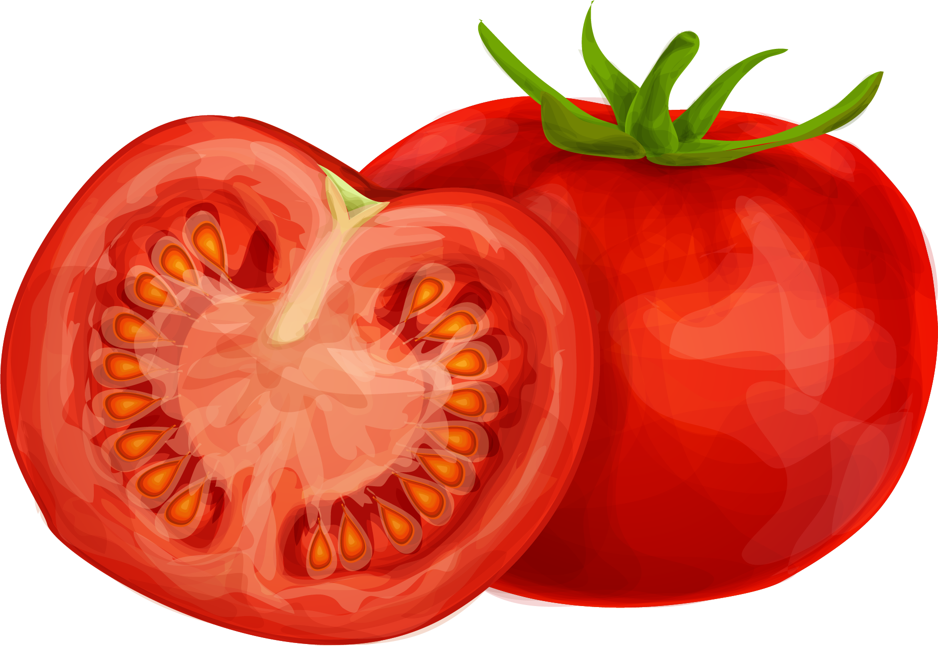 vegetables tomato vector grap