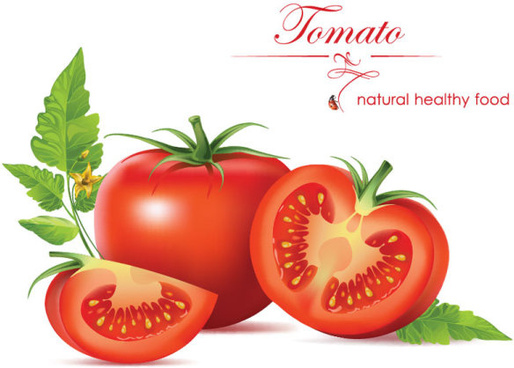 vegetables tomato vector graphics