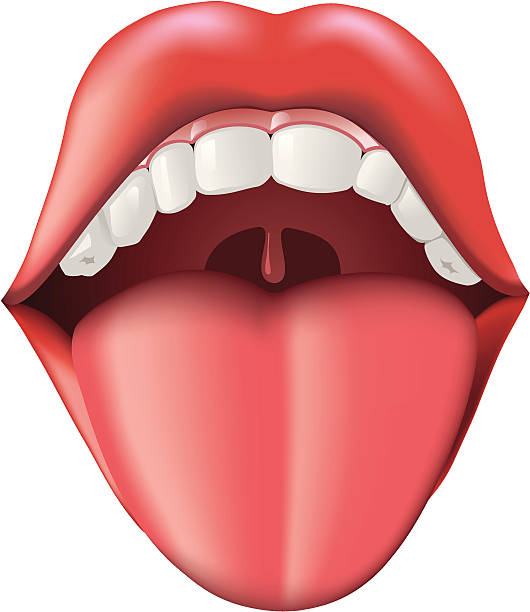 Tongue vector art illustratio