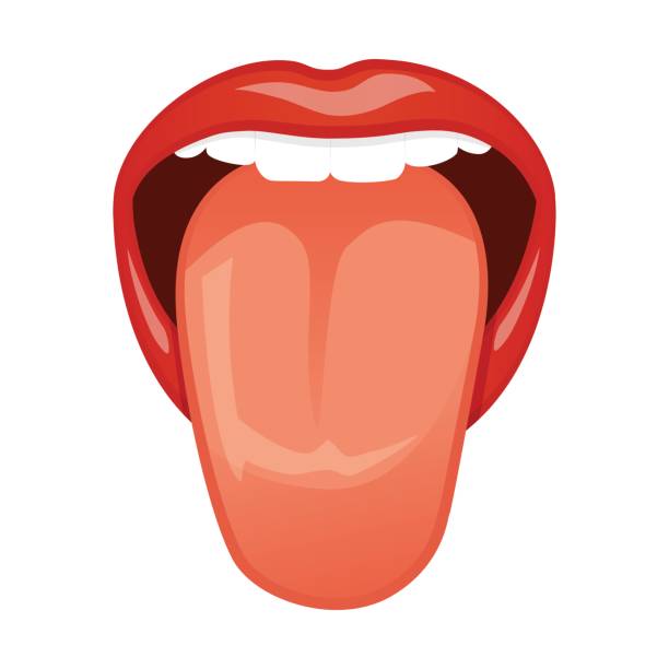 Tongue vector art illustration