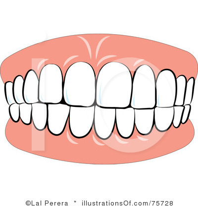 Teeth Clipart Illustration .