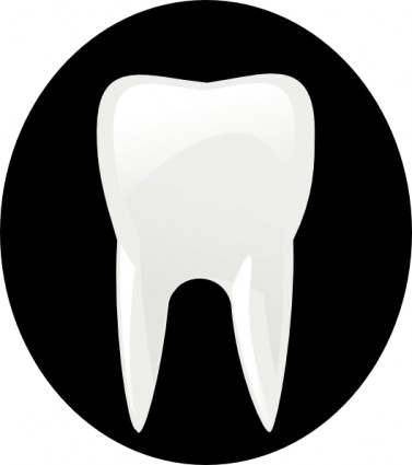 Tooth Molar Clip Art Free Vector In Open Office Drawing Svg Svg