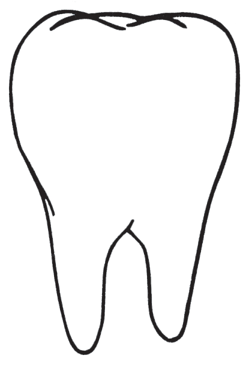 Tooth Outline Clipart - Tooth Clipart