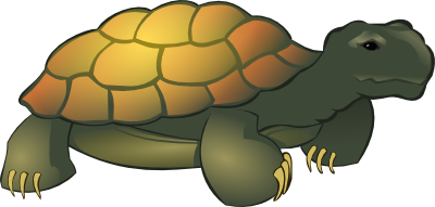 tortoise clipart - Tortoise Clip Art
