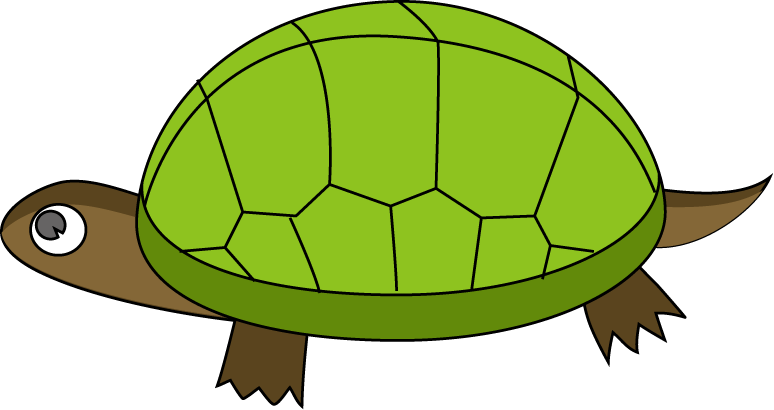 tortoise clipart