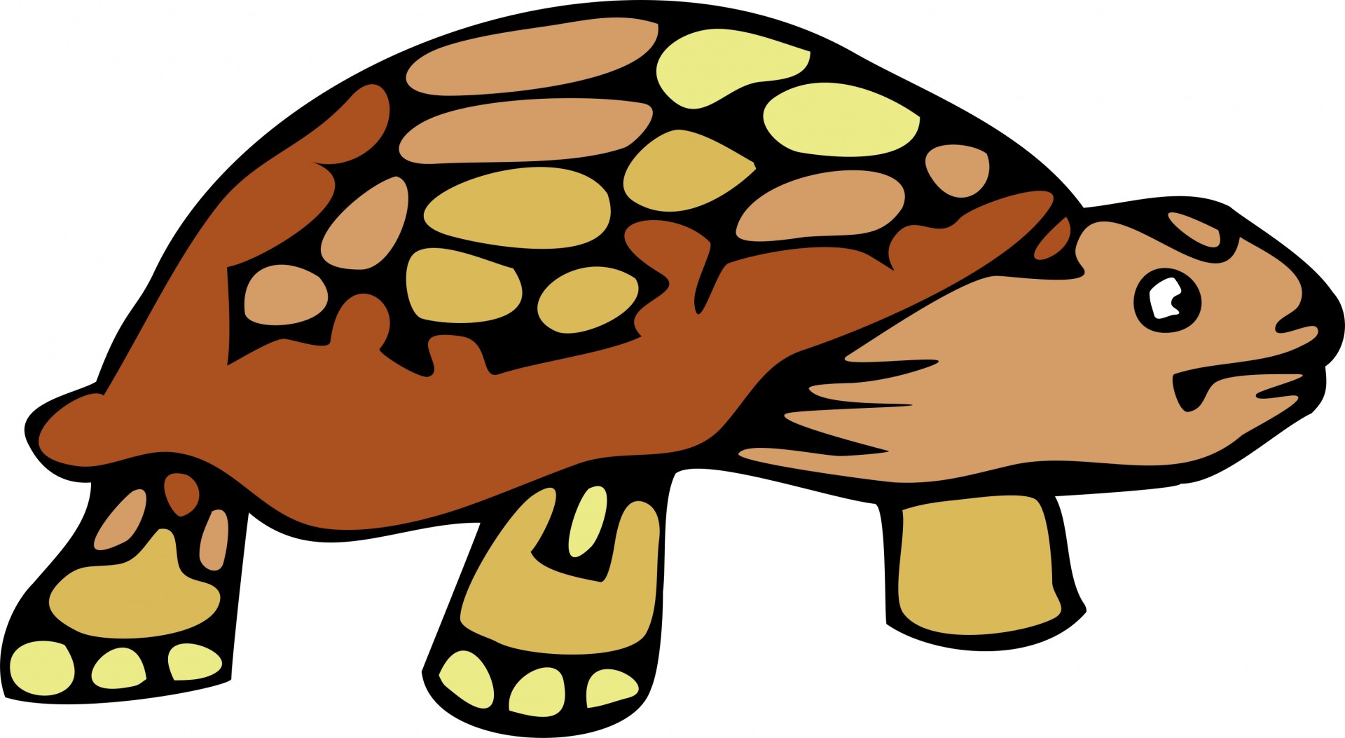 ... Tortoise Clip Art ... - Tortoise Clip Art