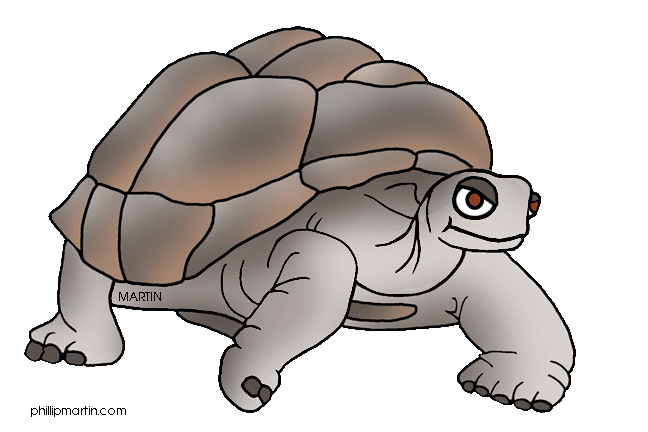 Tortoise - Tortoise Clip Art