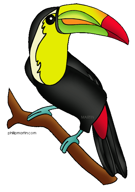 toucan clipart black and whit