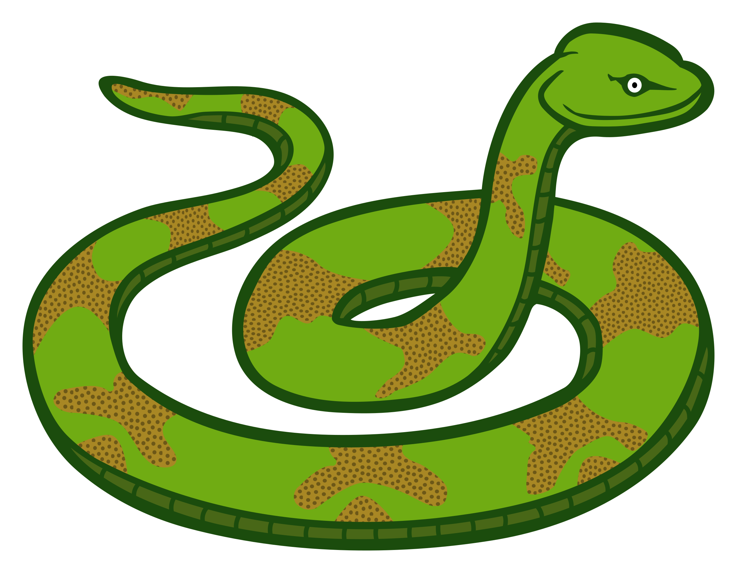 Snake Transparent Background 