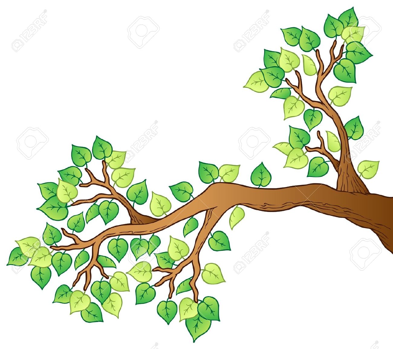 tree branch: Cartoon tree .