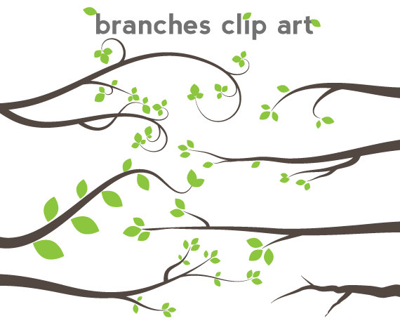tree branch clip art - branch - Branches Clip Art