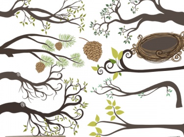 olive clipart
