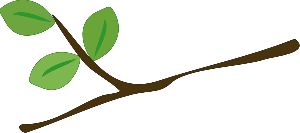 Image of Branches Clipart .