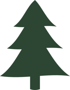 Clipart Pine Tree Clipart Pan